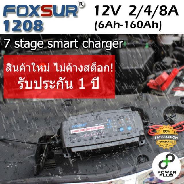 Foxsur V Car Battery