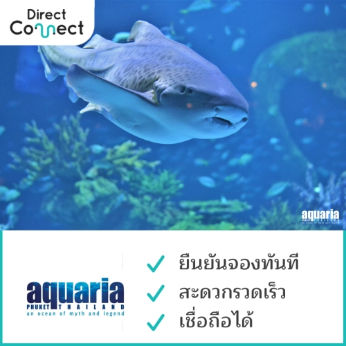 [E-ticket] บัตรเข้าชมพิพิธภัณฑ์สัตว์น้ำ อควาเรีย ภูเก็ต เเละ พิพิธภัณฑ์ AR ทริกอาย ภูเก็ต สำหรับชาวไทย เเละ Expats