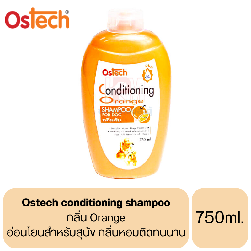Conditioning Shampoo Definition Quizlet at Bernard Miller blog