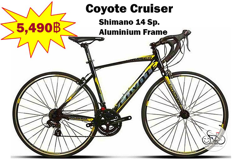 จักรยานเสือหมอบ Coyote Cruiser เฟรมอลูซ่อนสาย 14 สปีด เกียร์มือตบ