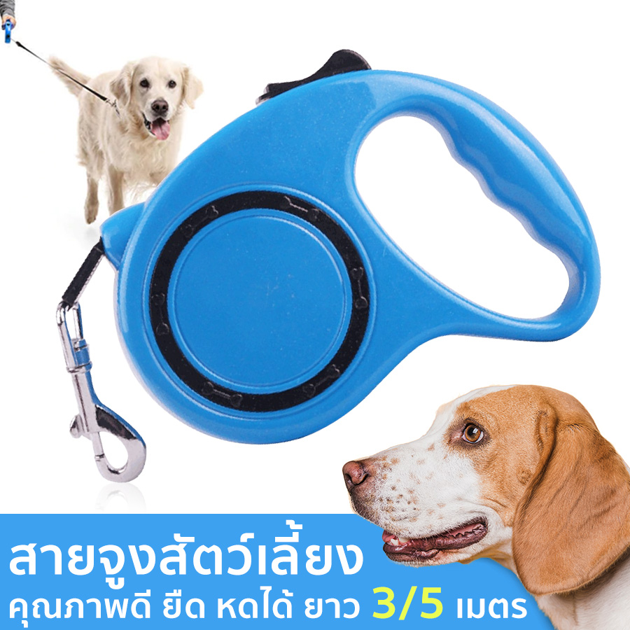 3/5 เมตร อัตโนมัติ สัตว์เลี้ยงเชือกดึงดึง สุนัขสายจูงอัตโนมัติยืดหยุ่นสุนัข อัตโนมัติสุนัขสายจูงสำหรับ สายจูงอัตโนมัติ Automatic Dog Leash Cheers