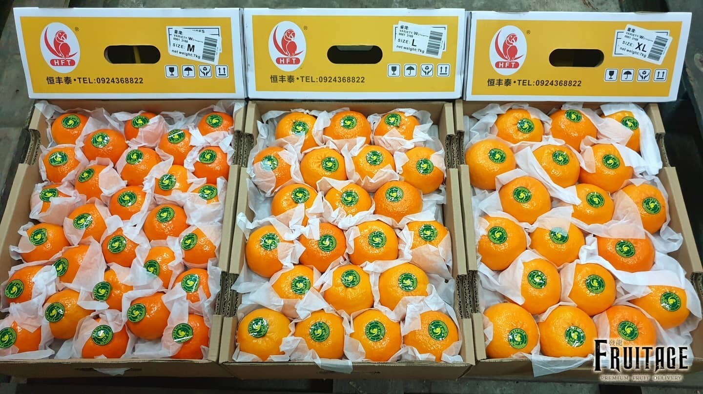 ส้มแมนดาริน ไต้หวัน Mandarin Orange (1ลูก/ไซส์L) (TAIWAN) ~ลดพิเศษ~ ผลไม้นำเข้า ส้มไต้หวัน ตรานกเงือก YXG ส้มนกแก้ว ส้มตรานกแก้ว HFT Wo Tangerine Wogan  ยี่ห้อ ตรานกเงือก (1ลูก)
