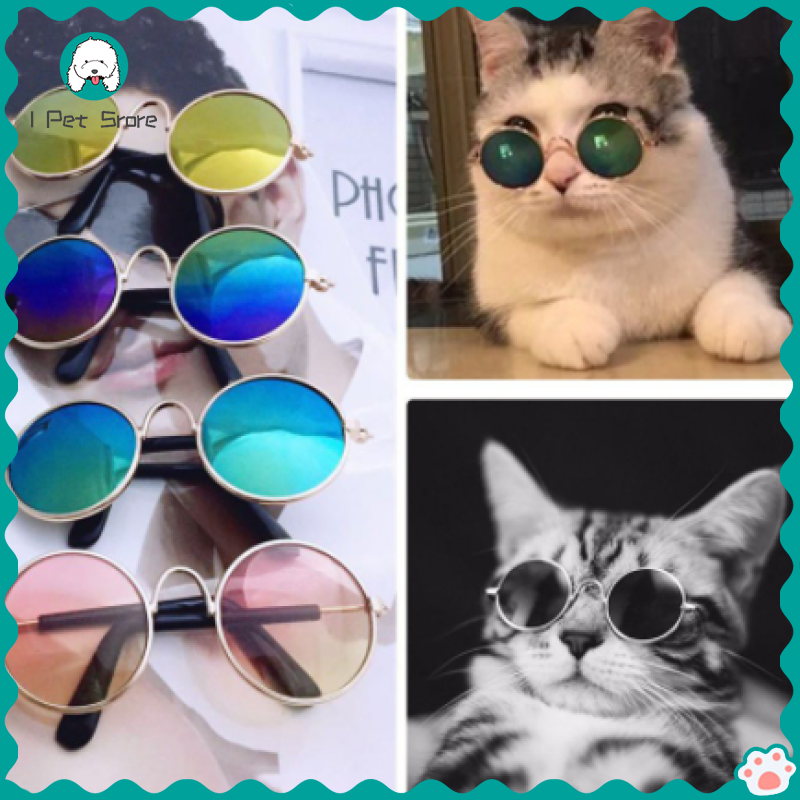 แว่นตา แฟชั่น สีสันสดใส สำหรับสัตว์เลี้ยง สุนัข แมว