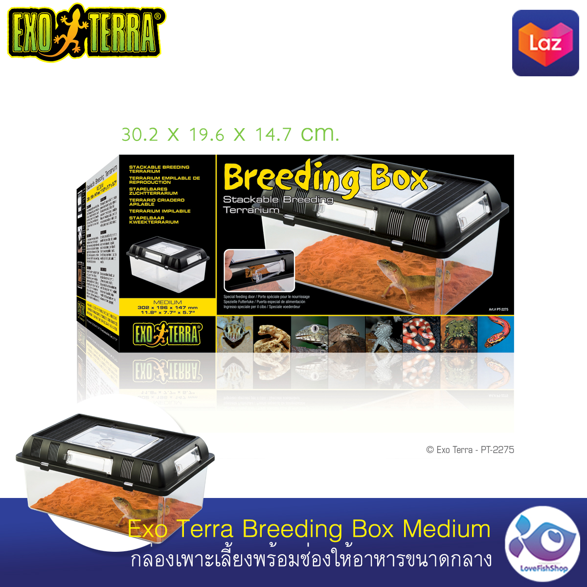 กล่องเพาะเลี้ยง Exo Terra Breeding Box Medium ราคา 850 บาท