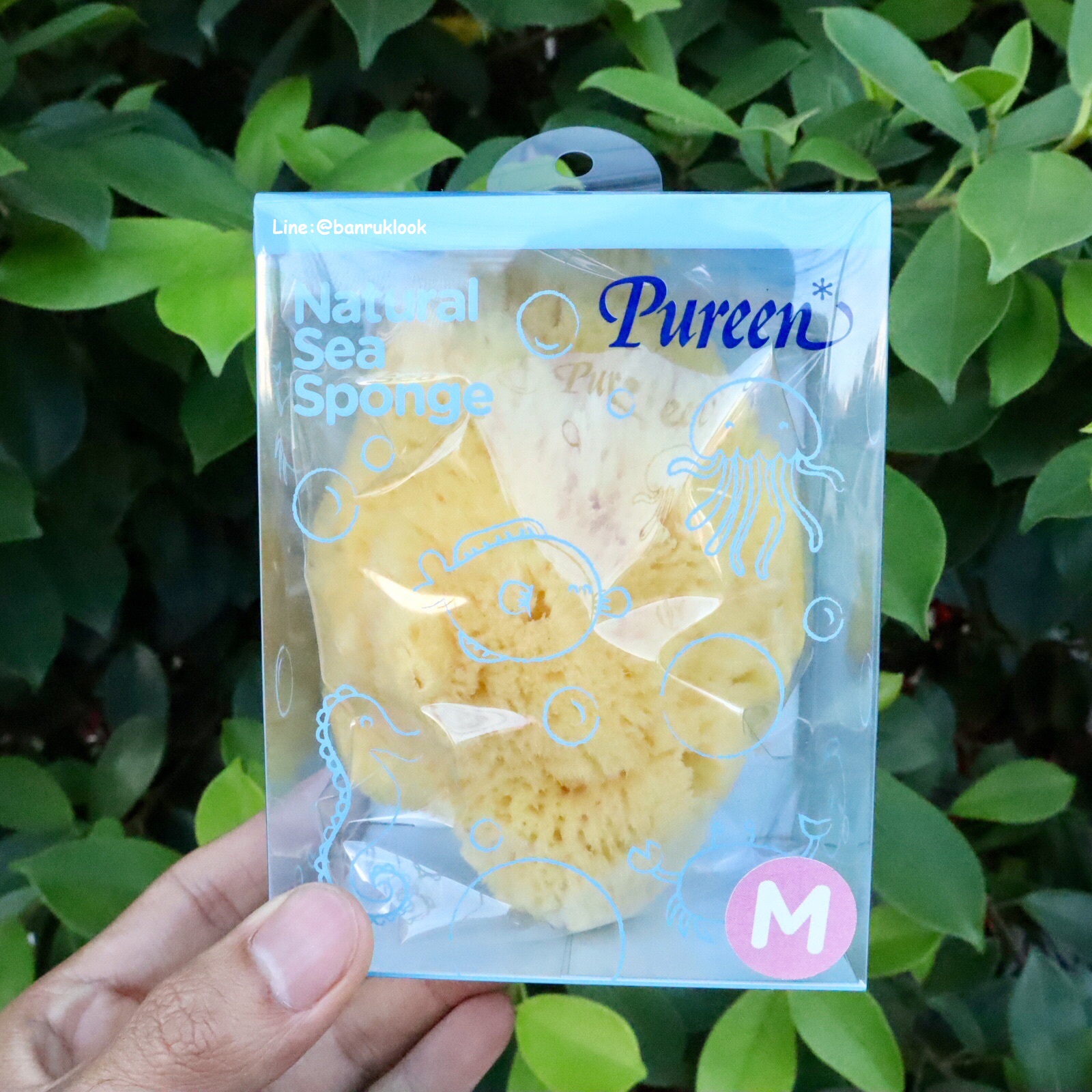 Pureen ฟองน้ำธรรมชาติ Natural Sea Sponge ไซส์ M