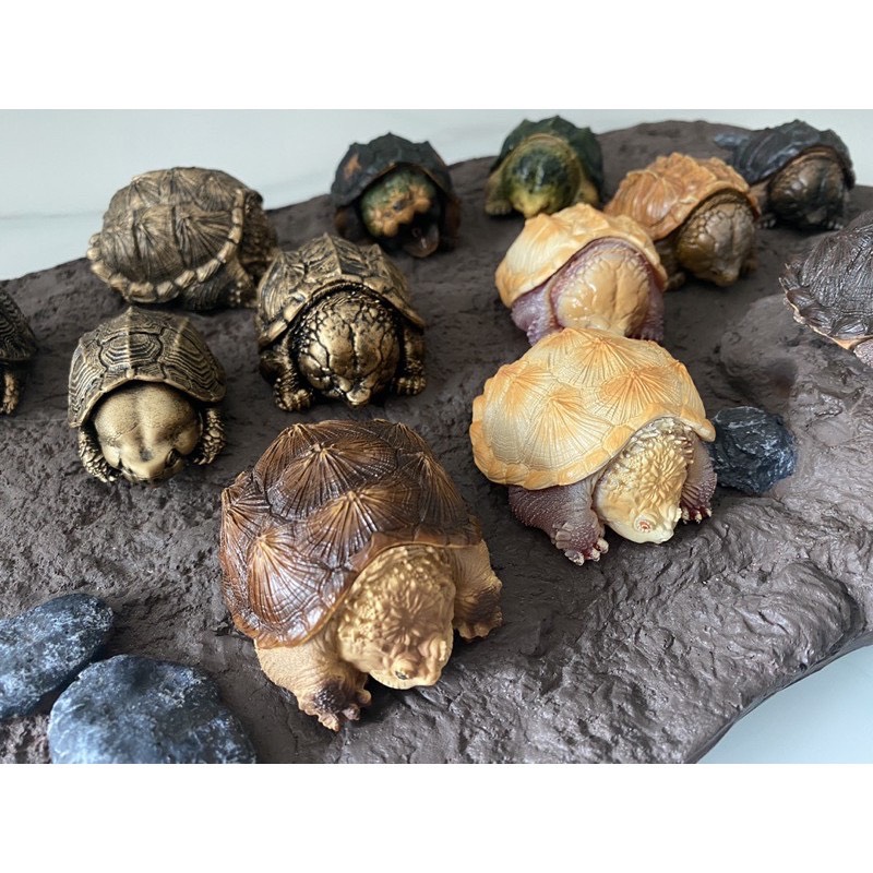 bighead series snipping turtle figurines โมเดลเต่าตัวเล็ก