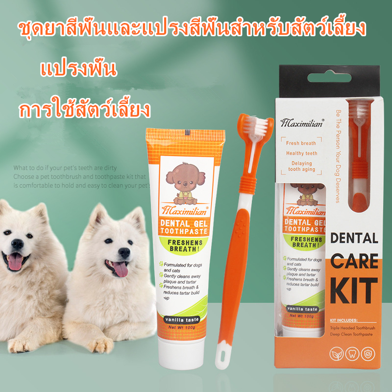ยาสีฟันสำหรับสุนัข ชุดแปรงสีฟัน+ Pet Toothbrush ลดกลิ่นปาก ลดคราบหินปูน สำหรับสุนัขทุกสายพันธุ์ รสวานิลลาที่สัตว์เลี้ยงชอบ ขนาด 100 กรัม/แพ็