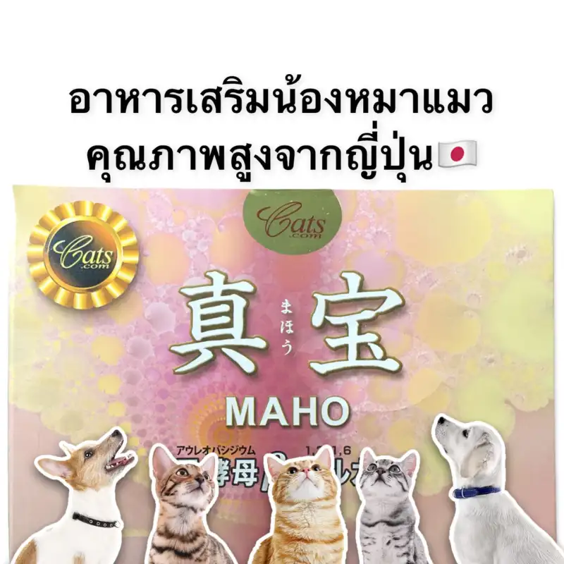 ภาพสินค้ามะโฮ (Maho) อาหารเสริมเบต้ากลูแคน จากญี่ปุ่น เสริมภูมิคุ้มกัน บำรุงร่างกาย คน/หมา/แมวทานได้ ทานง่าย ดูดซึมเร็ว จากร้าน HealthyPet บน Lazada ภาพที่ 2