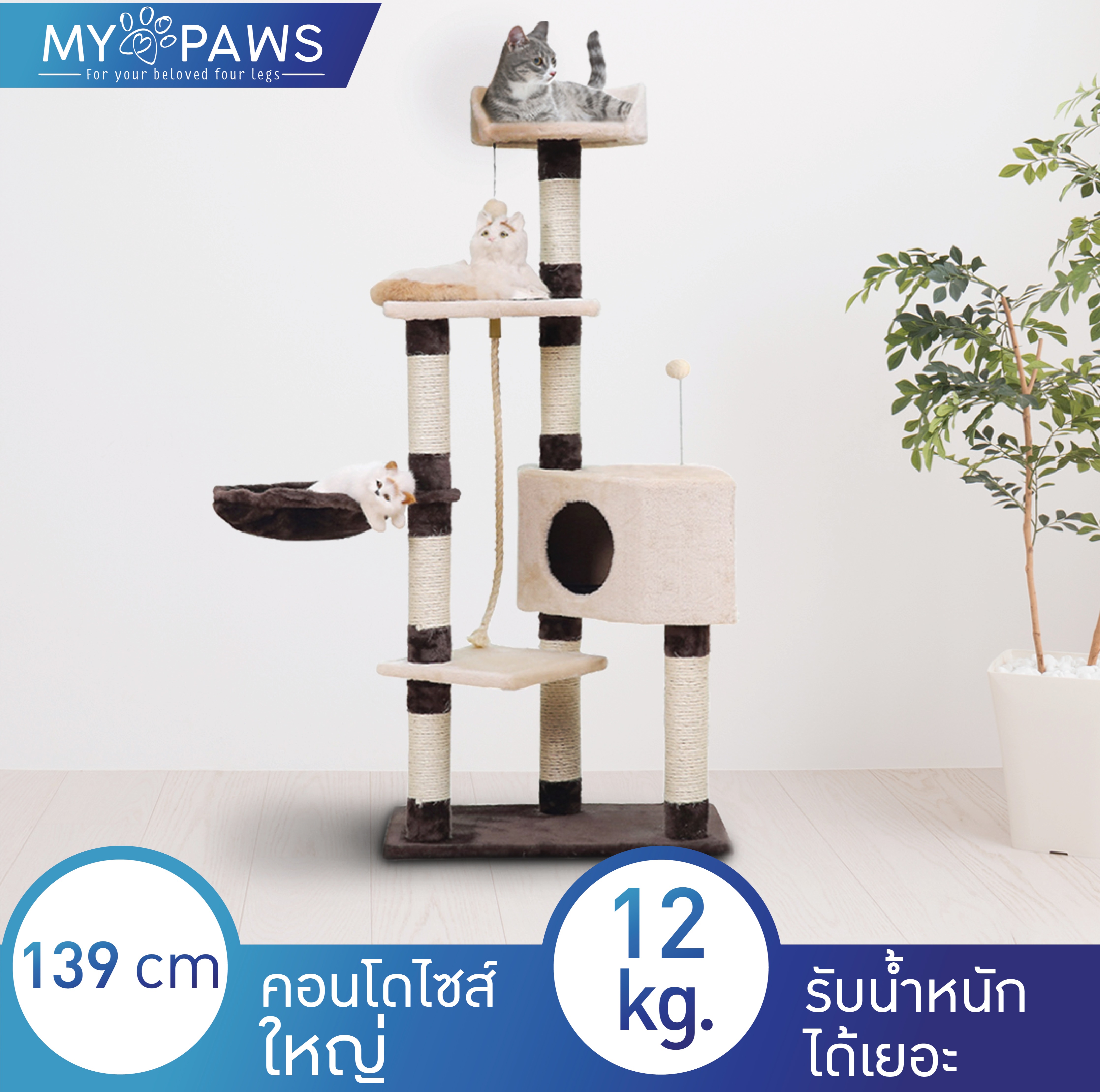 My Paws คอนโดแมว นำเข้าเกรดพรีเมียม รุ่น Full of Fun ไซส์ใหญ่ สูง 139ซม. รับน้ำหนักได้ถึง 12 kg. บ้านแมว ของเล่นแมว
