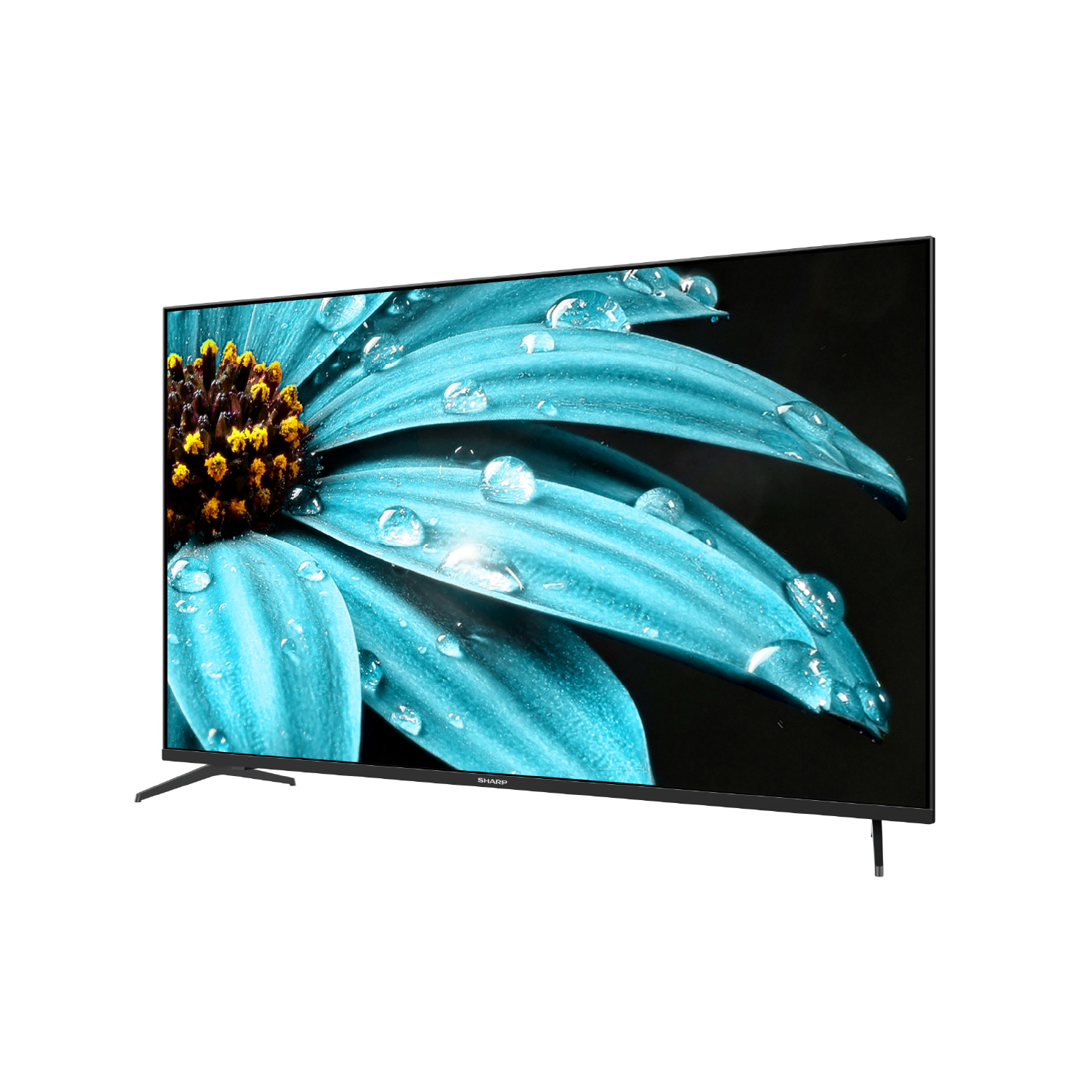 SHARP 4K 55インチ 液晶テレビ 2026年製 最新 美品 d5860 SHARP 4K 55インチ 液晶テレビ 2026年製 最新 美品 d5860 NEW 2026 SHARP