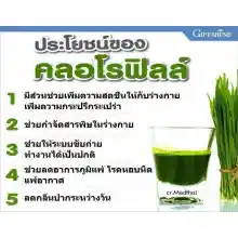 ภาพขนาดย่อของภาพหน้าปกสินค้าคลอโรฟิลล์ ( 1 ซอง ผสมน้ำ 1.5 ลิตร ) CHLOROPHYLL จากร้าน Wealth.Giffarine บน Lazada ภาพที่ 2