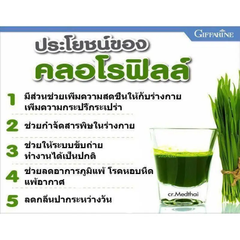 ภาพสินค้าคลอโรฟิลล์ ( 1 ซอง ผสมน้ำ 1.5 ลิตร ) CHLOROPHYLL จากร้าน Wealth.Giffarine บน Lazada ภาพที่ 2