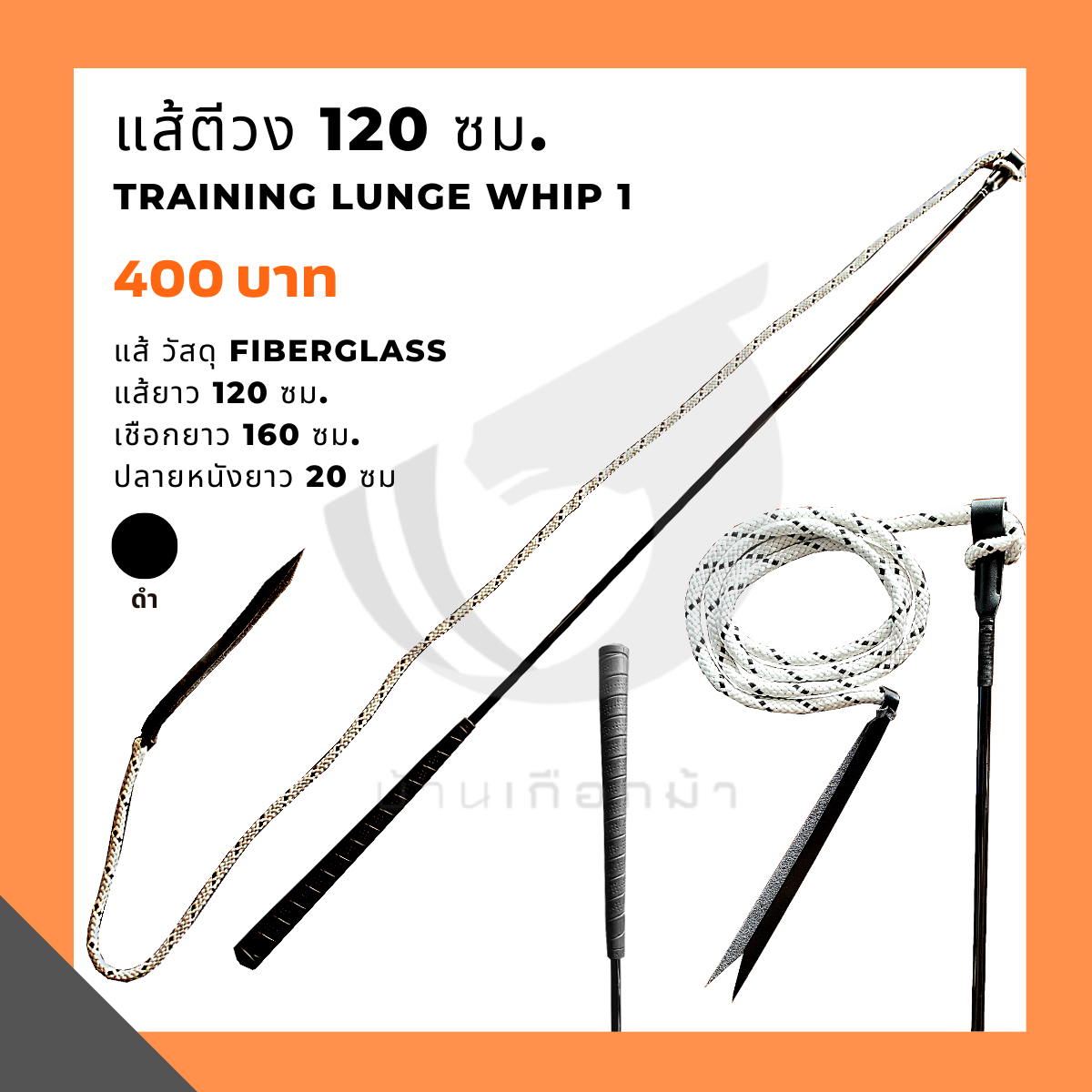 Training lunge whip1 - แส้ตีวง 120cm