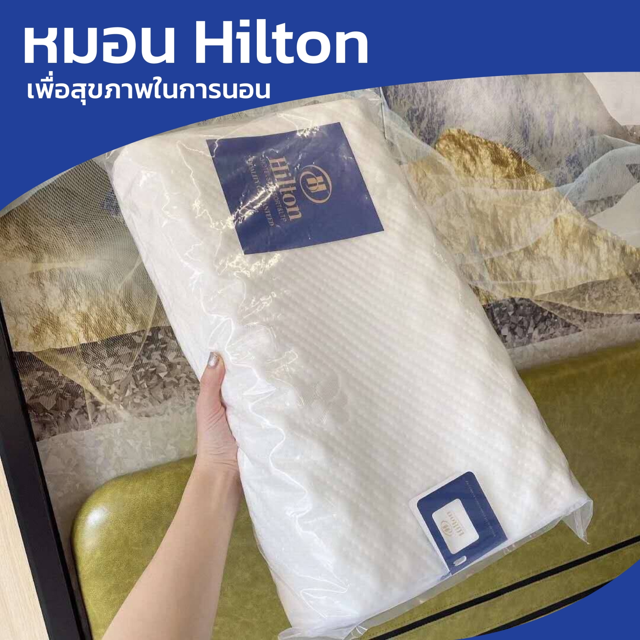พร้อมส่งHilton หมอนหนุนเพื่อสุขภาพ หมอนยางพารา สำหรับเด็กอนุบาล Latex