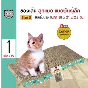 Cat Toy ของเล่นแมว ที่ลับเล็บแมว ป้องกันการขีดข่วนโซฟา คลื่นกระดานบาง Size S ขนาด 38x21x2.3 ซม. แถมฟรี! Catnip