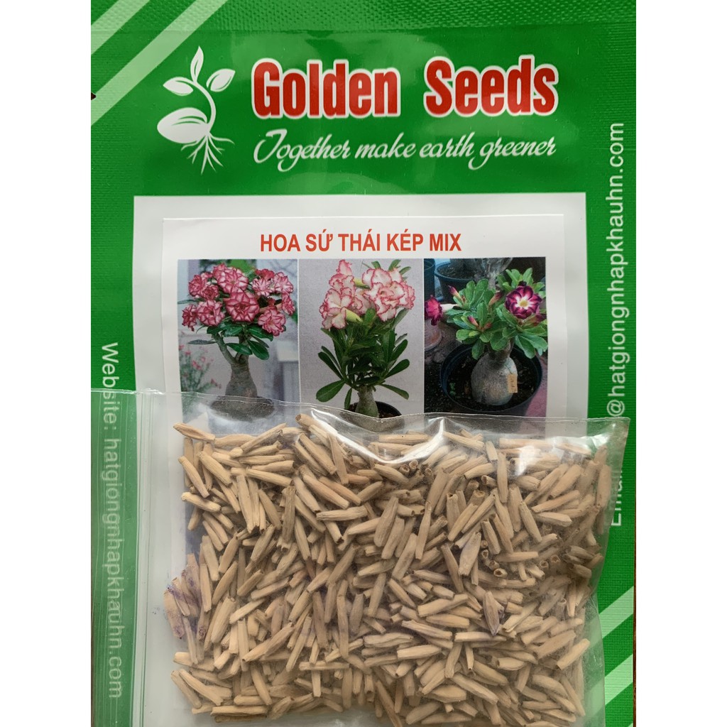Hạt giống hoa sứ Thái kép nhiều màu (Hạt chuẩn)