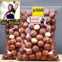 ภาพขนาดย่อของภาพหน้าปกสินค้าRoasted Macadamia in shell (500gram bag) จากร้าน Nattawut Great Shop บน Lazada