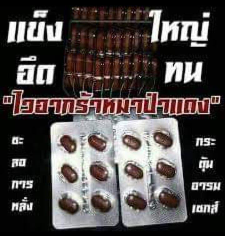 สมุนไพร สุนัขป่าแดง 800mg ราคา 259 บาท เพิ่มสมรรถนะสูงขึ้นเพื�   �อเพิ่มขีดความสามารถของคู่รัก ฟินยาวๆกับสุนัขป่าแดง