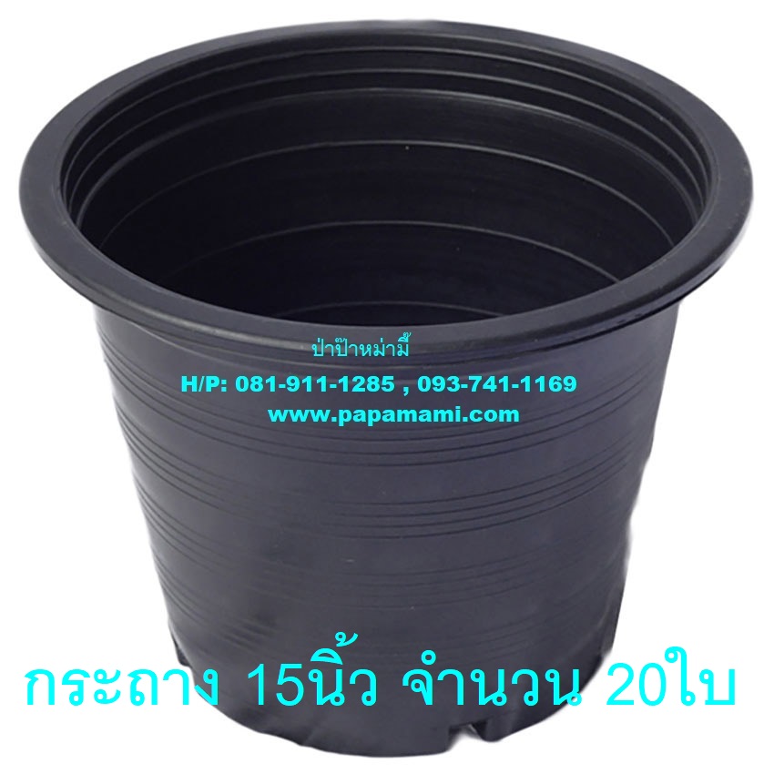 My Image 8