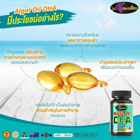 (ส่งฟรีเคอรี่ ของแท้ 100%) Auswelllife Algal Oil DHA ออสเวลไลฟ์ อัลกัลออยล์ ดีเอชเอ เสริมสร้างพัฒนาการทางสมองให้ลูกน้อยของคุณ ให้ฉลาดสมวัย (1 กระปุก = 60 แคปซูล)