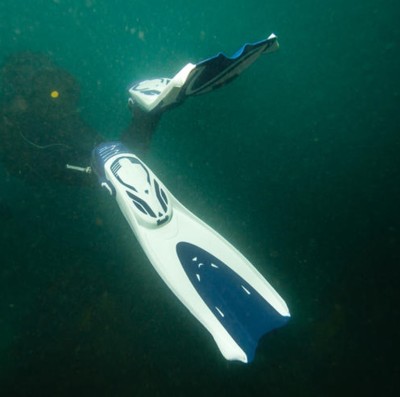 ดูภาพ SUBEA ตีนกบสำหรับดำน้ำลึก ปรับไซส์ได้ Scuba Diving Adjustable Fins With Elastic Strap <br/>เพิ่มเติม SUBEA ตีนกบสำหรับดำน้ำลึก ปรับไซส์ได้ Scuba Diving Adjustable Fins With Elastic Strap