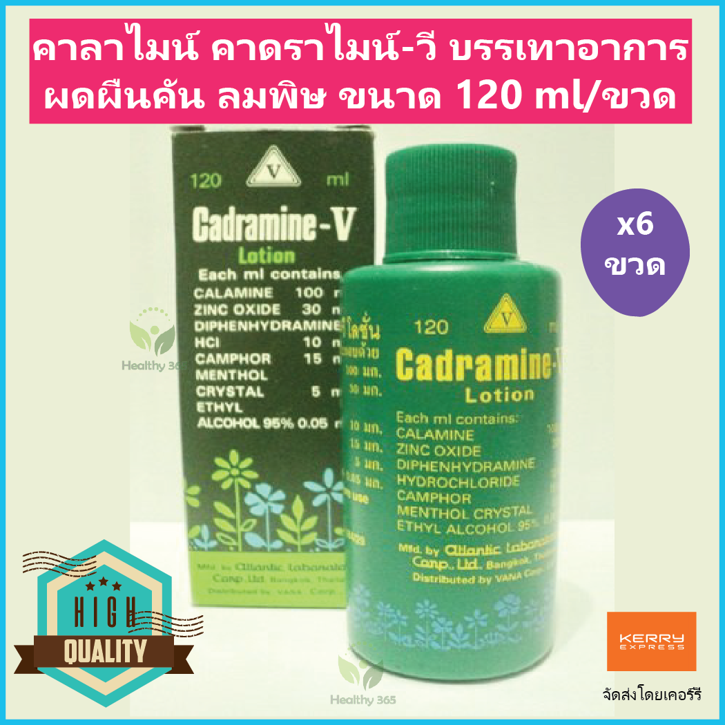 (6 ขวด) คาลาไมน์ คาดราไมน์-วี Calamine Cadramine-V บรรเทาอาการผดผื่นคัน ผื่นแพ้ ลมพิษ แมลงสัตว์กัดต่อย ขนาด 120 ml/ขวด