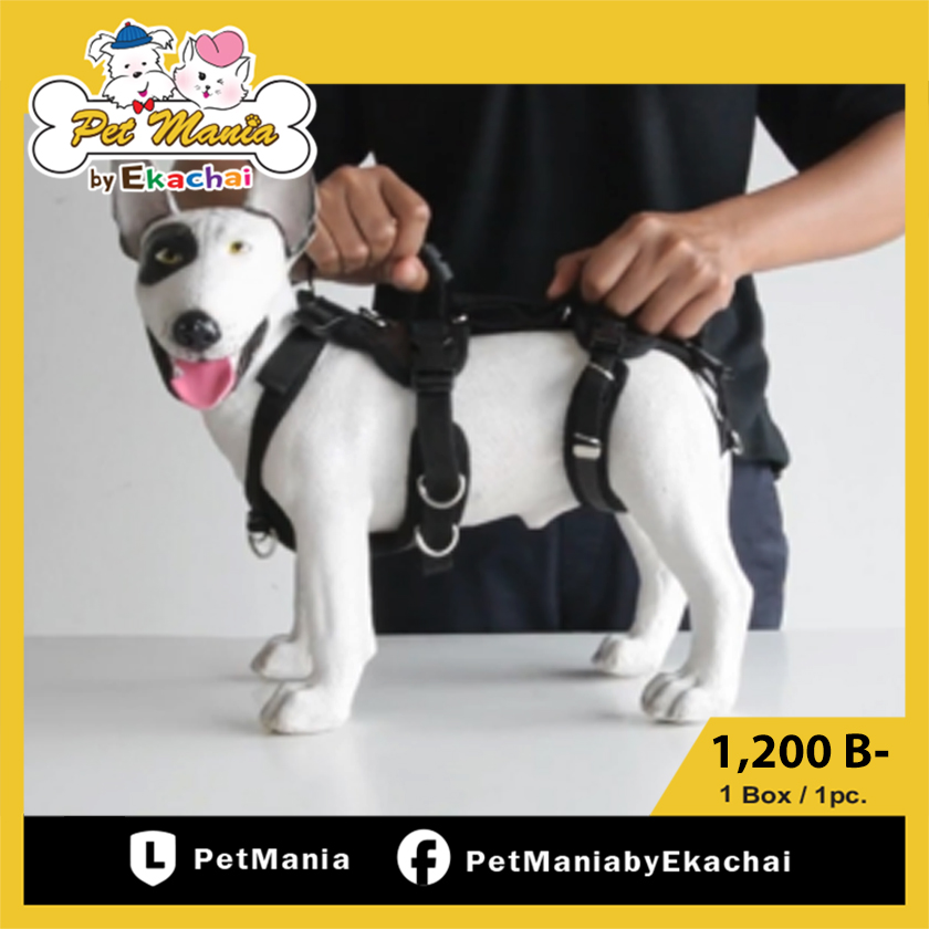 PetWellSuit ชุดช่วยพยุงเพื่อกายภาพบำบัดสำหรับสุนัข Size L (ขนาดรอบอกและรอบเอว 58-68 ซม.) โดย Petmania by Ekachai