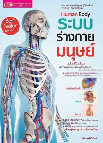 ระบบร่างกายมนุษย์ Human Body