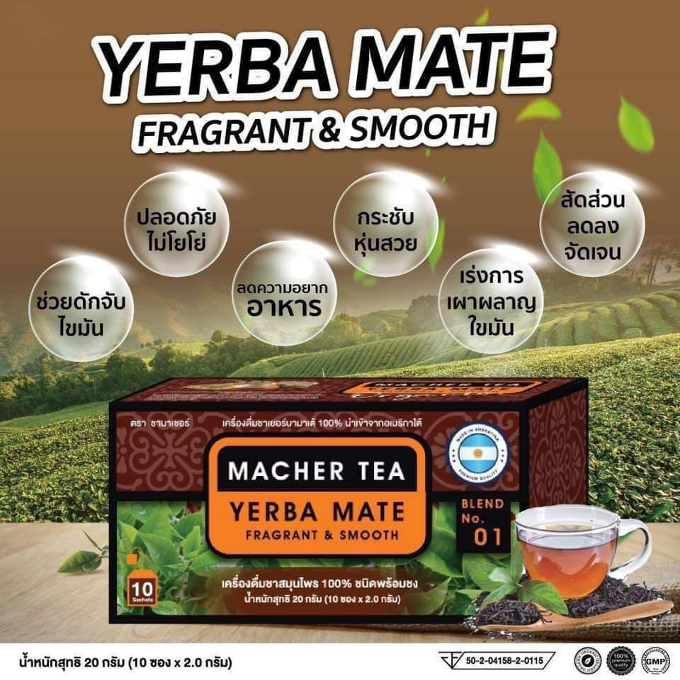 (1 กล่อง) MACHER TEA YERBA MATE ชามาเต ลดความอยากอาหารและเพิ่มการเผาผลาญตลอดวัน บรรจุ 10 ซอง