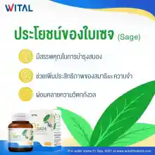 ภาพขนาดย่อของภาพหน้าปกสินค้าWITAL - Wital B+ Sage อาหารเสริมบำรุงสมอง วิตามินบีรวม + ใบเซจ (1 ขวด) จากร้าน WITAL บน Lazada ภาพที่ 4