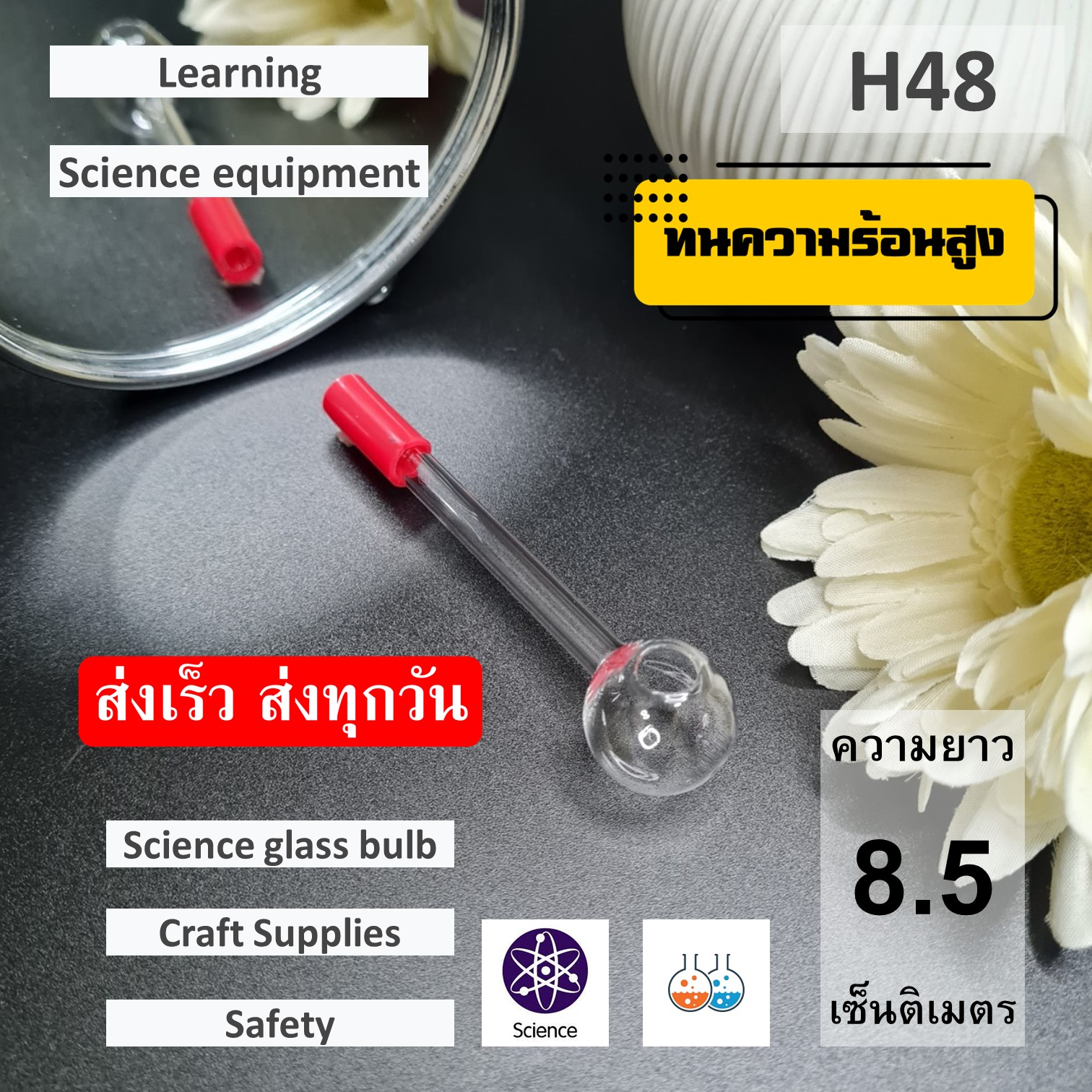 หลอดแก้ววิทยาศาสตร์ แก้วทดลอง pyrex lab glassware Lazada.co.th