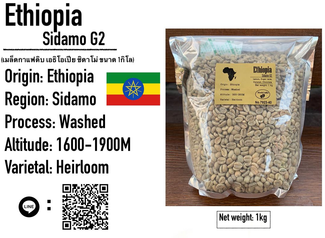 พร้อมส่ง เมล็ดกาแฟดิบ Ethiopia Sidamo G2 washed process ขนาด 1kg. / เมล็ดกาแฟนอก/เมล็ดกาแฟสาร/  Ethiopia sidamo G2 green beans 1kg