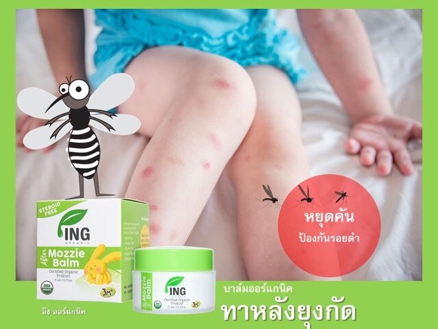 ส่งฟรี !! เด็กทารกต้องมี บาล์มทาหลังยุงกัดและแมลงกัด Ing Organic บาล์มทาหลังยุงกัดด้วยสารสกัดจากธรรมชาติ
