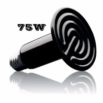 ราคา หลอดไฟเซรามิค หลอดไฟให้ความร้อน ขนาด 75W pantip