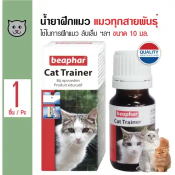 รีวิว Beaphar Cat Trainer น้ำยาฝึกแมว มีกลิ่นที่ดึงดูดแมว ช่วยในการฝึกแมว ฝึกลับเล็บ ฯลฯ สำหรับแมวทุกสายพันธุ์ ขนาด 10 มล. pantip