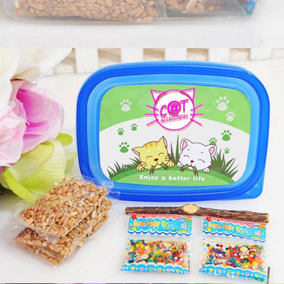 โปรโมชั่น Cat Accessories หญ้าแมว ชุดปลูกหญ้าแมวแบบไม่ต้องใช้ดิน สามารถ