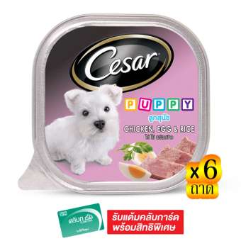 CESAR ซีซาร์ อาหารสุนัขชนิดเปียก สูตรสำหรับลูกสุนัข รสไก่ไข่พร้อมข้าว 100 กรัม (แพ็ค 6 ถาด)
