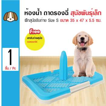 รีวิว Dog Toilet ถาดฝึกฉี่ ถาดรองซับ ห้องน้ำสุนัข รุ่นมีเสาถอดออกได้ สำหรับสุนัขพันธุ์เล็ก Size S ขนาด 35x47x5.5 ซม. (สีฟ้า) pantip