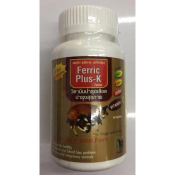   Ferric - k อาหารเสริมบำรุงเลือด 40 เม็ด ( 2 units ) รีวิว