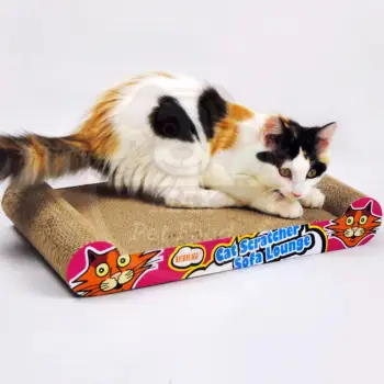   Kinchla ที่ลับเล็บแมว แบบกระดาน ของเล่นแมว pantip