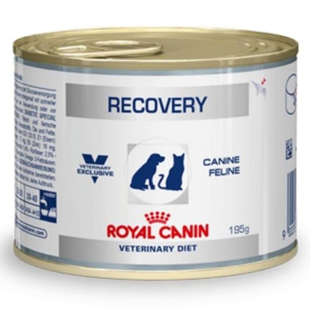 ROYAL CANIN Recovery Cats Dogs Canned Food Feline Canine 195g X Cans