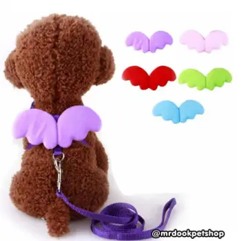 โปรโมชั่น สายจูงรัดอก ปีกนางฟ้า สายจูงสุนัขและแมว ชุดรัดอก Size S (สีฟ้า) รีวิว