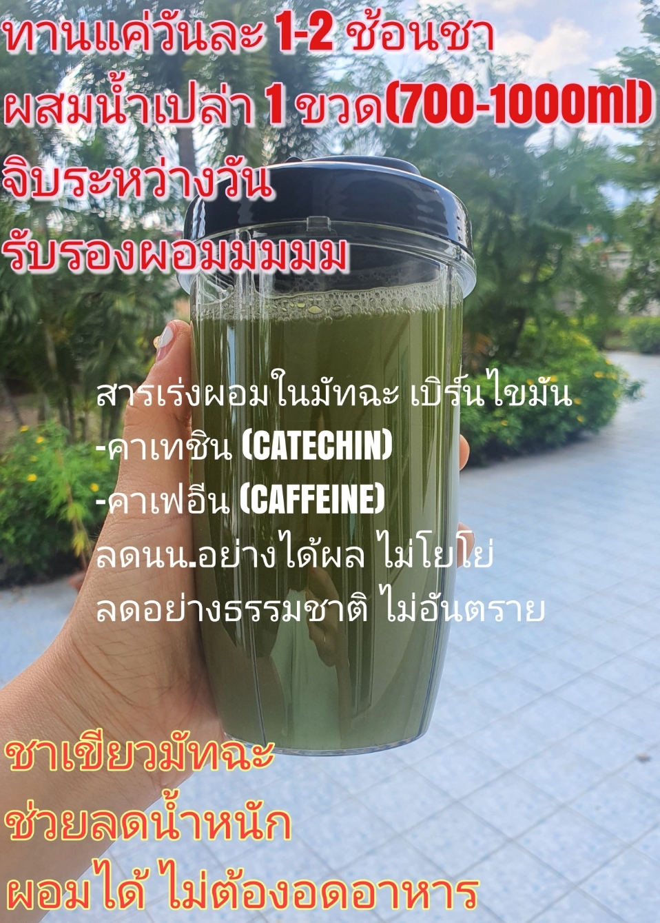 ชาเขียว มัทฉะ ส่งฟรี ของแท้100% Pure Matcha Green Tea Organic 100% (100g) Superfood Keto 0แคล