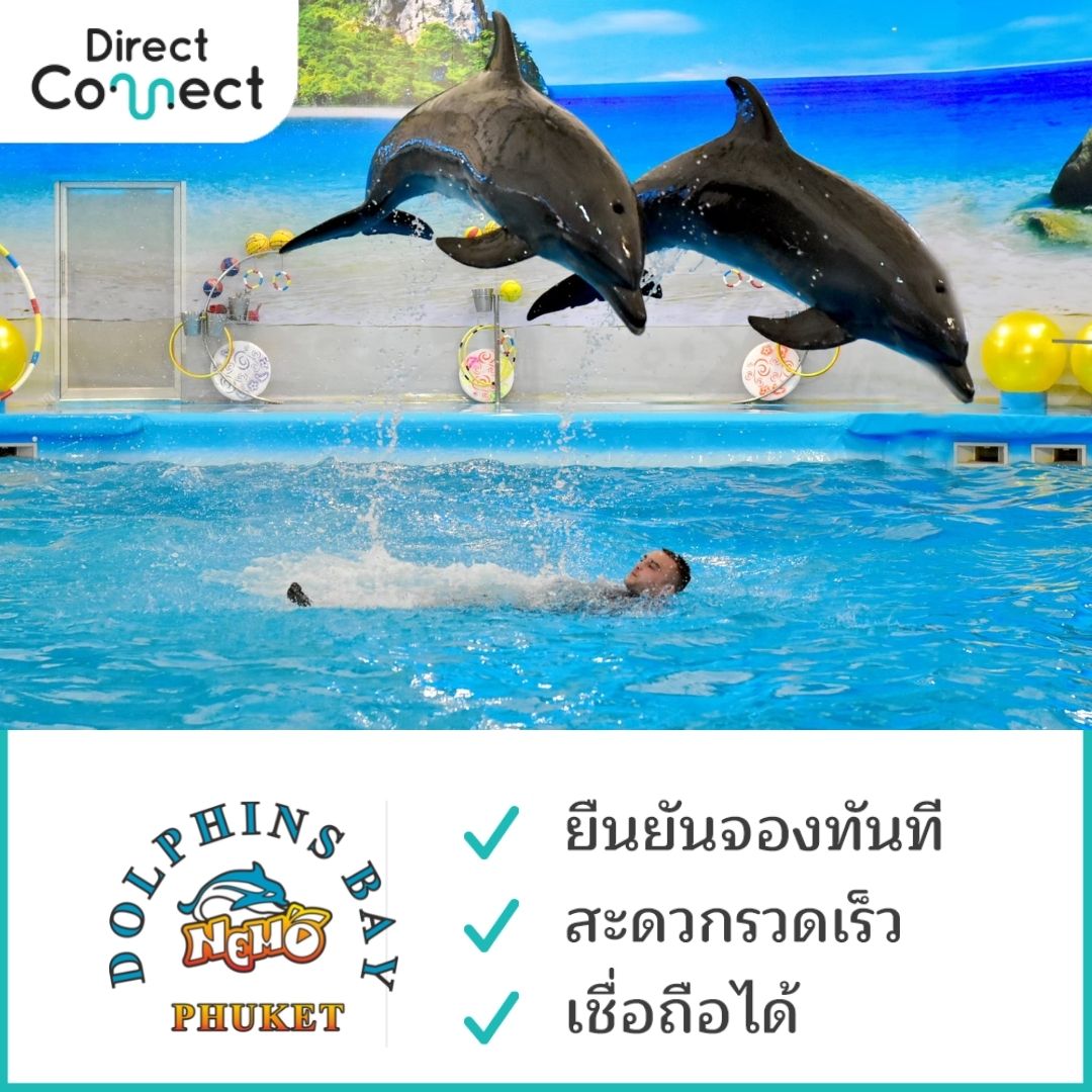 [E-Ticket] บัตรเข้าชมดอลฟิน เบย์ ภูเก็ต (Dolphin Bay Phuket)