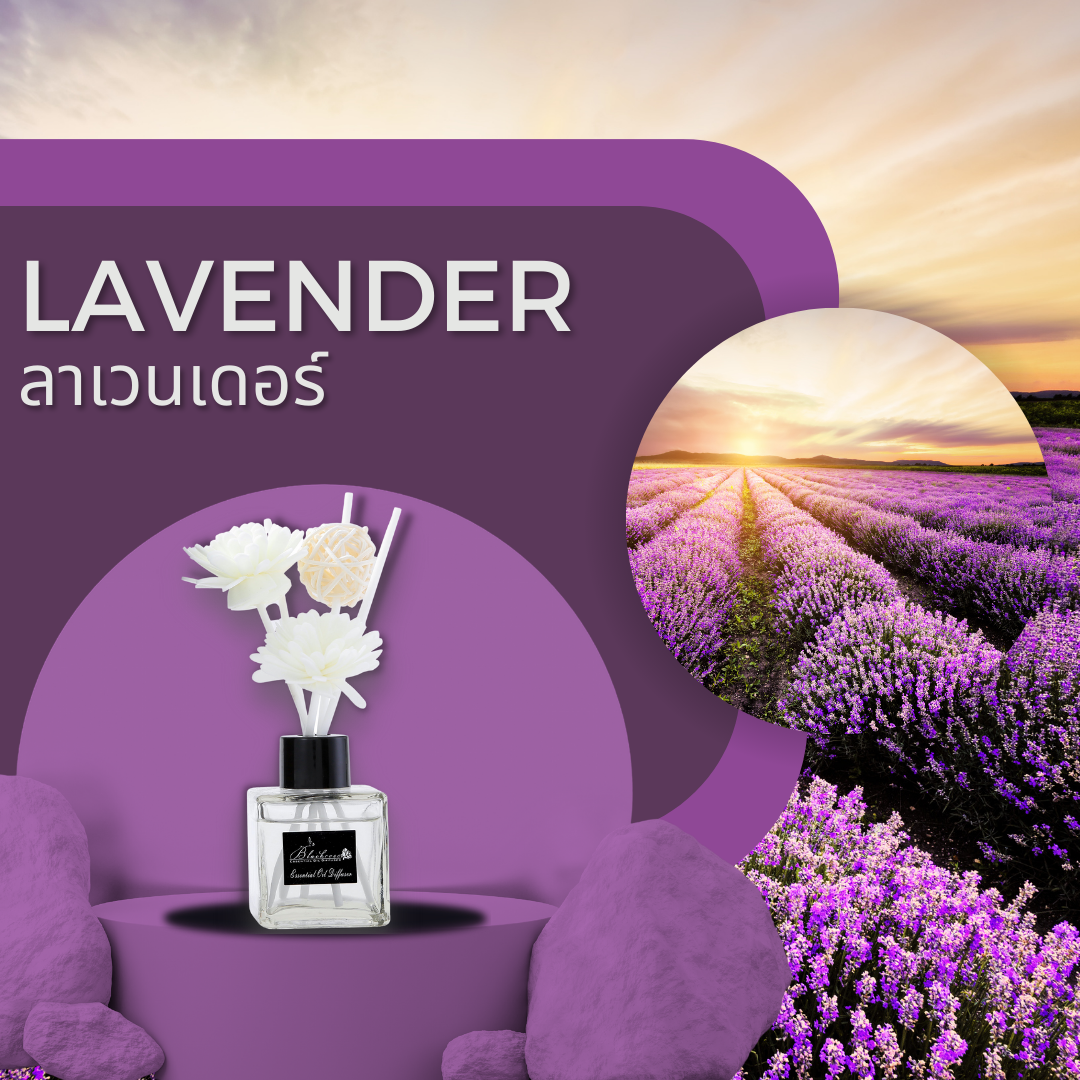 Jenam Scented Home Diffuser Lavender main image 0