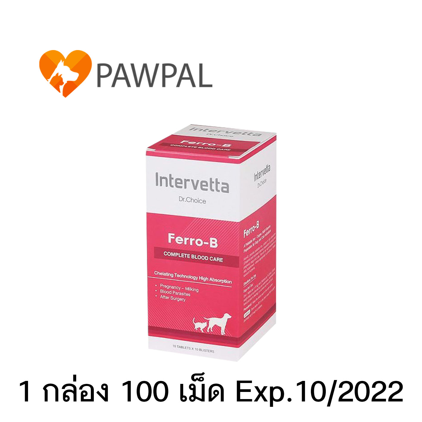 Dr. Choice Ferro-B Intervetta Exp.10/2022 บำรุงเลือด วิตามิน อาหารเสริม โลหิตจาง สุนัข แมว Iron Supplement dog cat Ferro B (1 กล่อง 100 เม็ด)