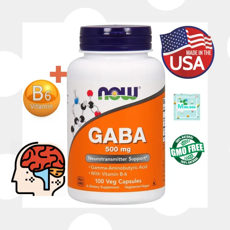 ภาพสินค้าNow Foods, GABA 500 mg x 100 แคปซูล (Veg Capsules) จากร้าน Mini.s06(Vitamin & Supplement) บน Lazada ภาพที่ 1