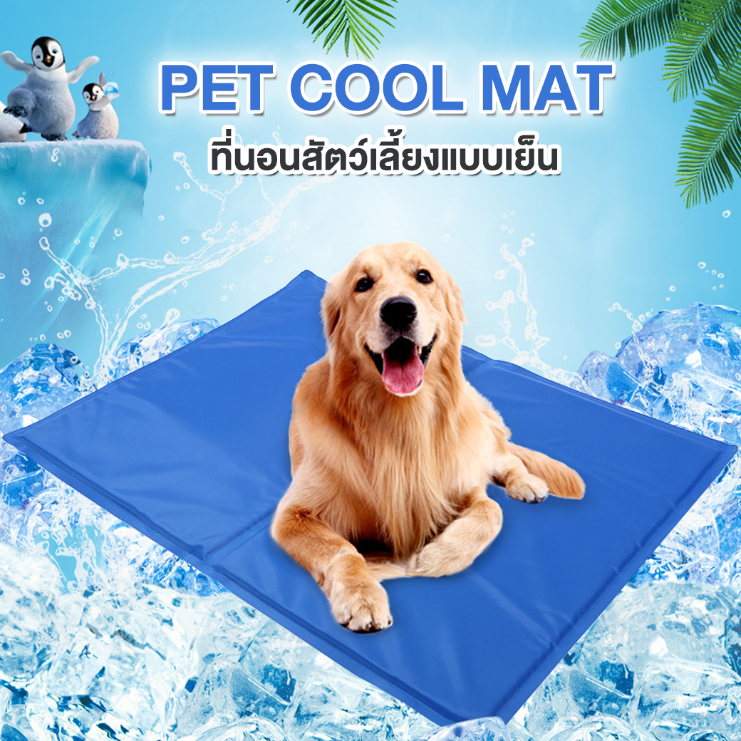 trends4life ที่นอนสุนัข ที่นอนสัตว์ เสื่อสุนัข แบบเย็น ทำจากแผ่นเจลเย็น เย็นสบาย รุ่นหนา 30x40cm สำหรับสุนัขและแมว สุนัข PET Cool Mat