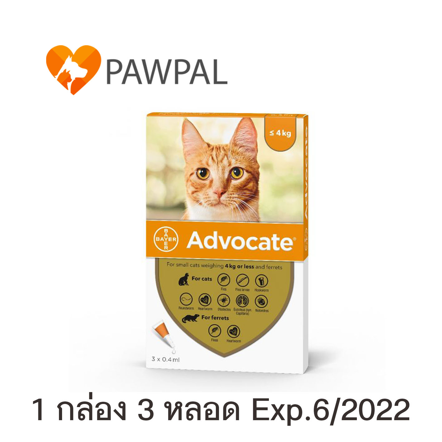 Advocateแอทโวเคท Bayer แมว ลูกแมว 0-4 kg Exp.6/2022 หยดหลังคอ หยอดหลัง สีส้ม Spot on Solution cat kitten (1 กล่อง 3 หลอด)