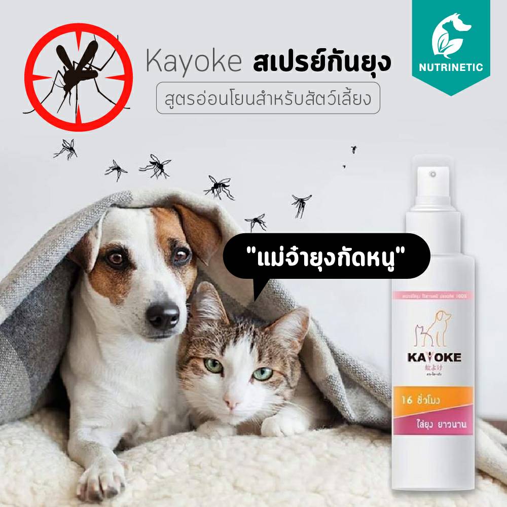 Kayoke สเปรย์กันยุง ปกป้องนาน 16 ชั่วโมง สูตรอ่อนโยน จากสารสกัด ใบสะเดา , เปลือกส้ม ไม่มีแอลกอฮอล และสารก่ออาการแพ้ สำหรับสัตว์เลี้ยง สุนัข แมว ขนาด 120ml